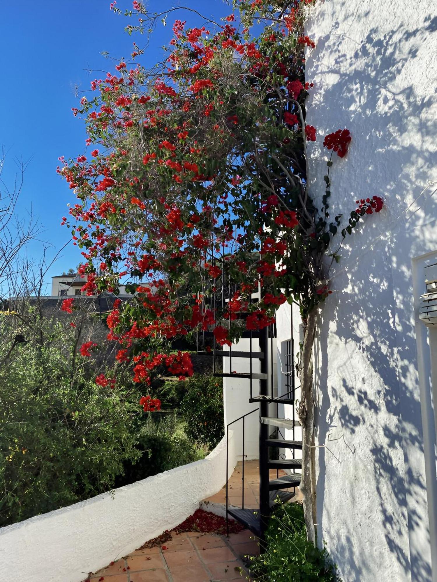 Cortijo De La Fuente Con Vistas Impresionantes Y Playas A 20 Minutos Vila Bédar Exterior foto